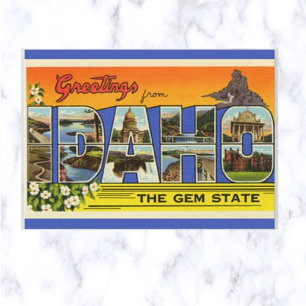 Vintage Big Letter Idaho Postcard