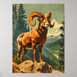 Vintage Bighorn Sheep Illustration Poster