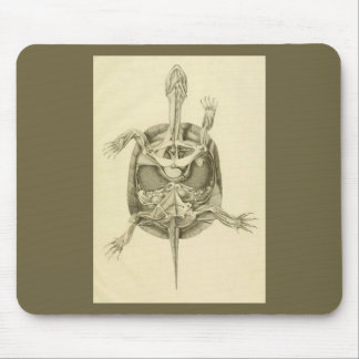 Vintage Biological Turtle Anatomy Mouse Mat