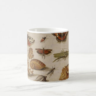 Vintage Biology Illustration Mug