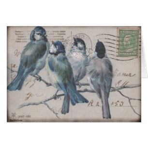 Vintage Bird