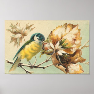 Vintage Bird and Branches Poster