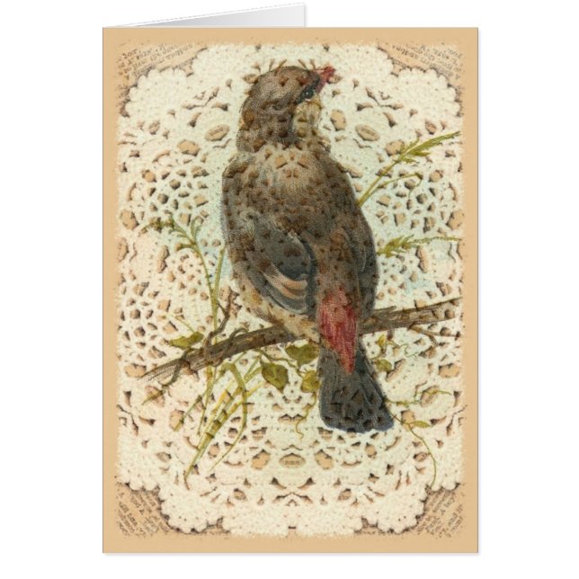 Vintage Bird and Doilie (Front)