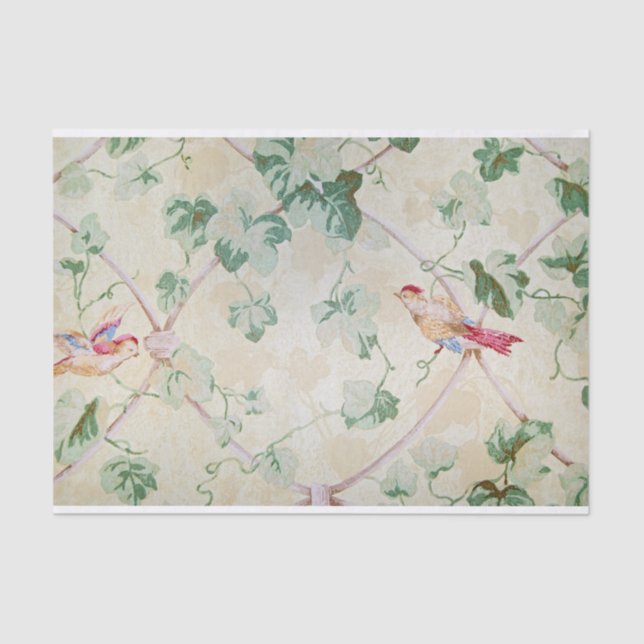 Vintage Bird and Ivy Wallpaper Tissue Paper (Front)