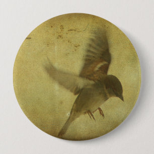 Vintage Bird Art 10 Cm Round Badge