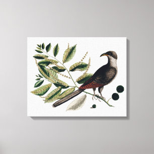 Vintage bird botanical canvas print