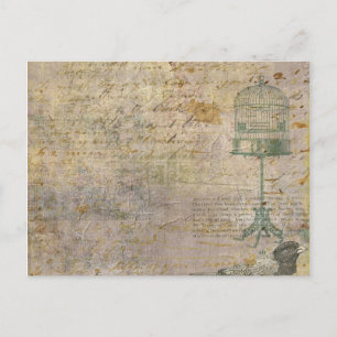 Vintage Bird Cage With Script Postcard