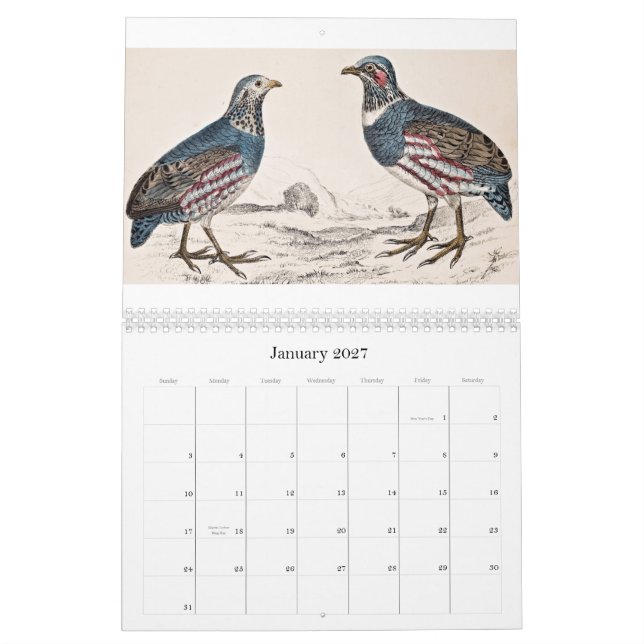 Vintage Bird Calendar - 2013 (Jan 2027)