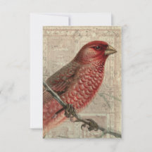 Vintage Bird Collage Blank Card