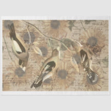 Vintage Bird Collage Tissue Paper