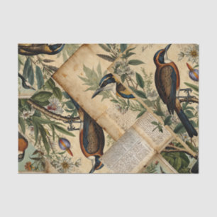 Vintage Bird Collage Tissue Paper