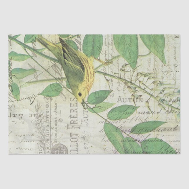 Vintage Bird Collage Tissue Tissue Paper (Front)