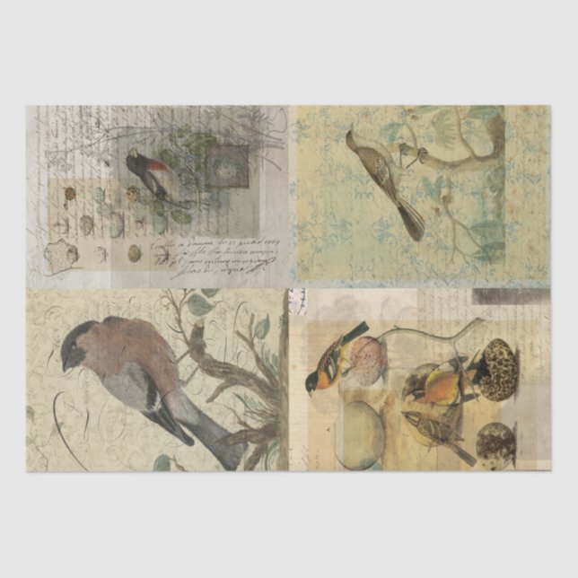 Vintage Bird Collages Tissue Paper (Front)