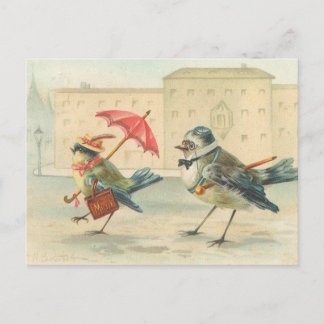 Vintage Bird Couple Postcard So Cute