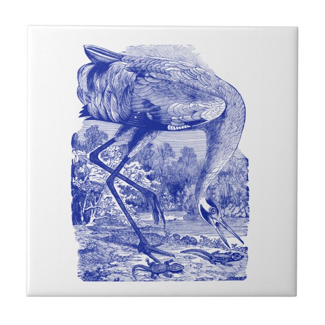 Vintage Bird Drawing | Blue | Whooping Crane Tile (Front)