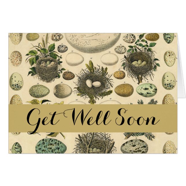 Vintage Bird Egg Nest Art Painting Eggs (Front Horizontal)