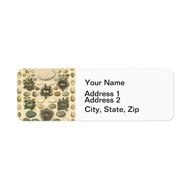 Vintage Bird Egg Nest Art Painting Eggs (Front)