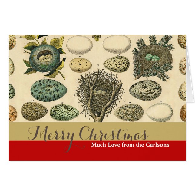 Vintage Bird Egg Nest Art Painting Eggs (Front Horizontal)