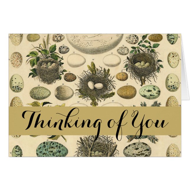 Vintage Bird Egg Nest Art Painting Eggs (Front Horizontal)