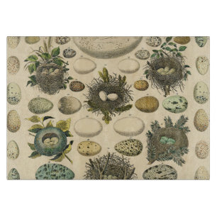 Vintage Bird Egg Nest Art Painting Eggs Cutting Board