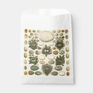 Vintage Bird Egg Nest Art Painting Eggs Favour Bags
