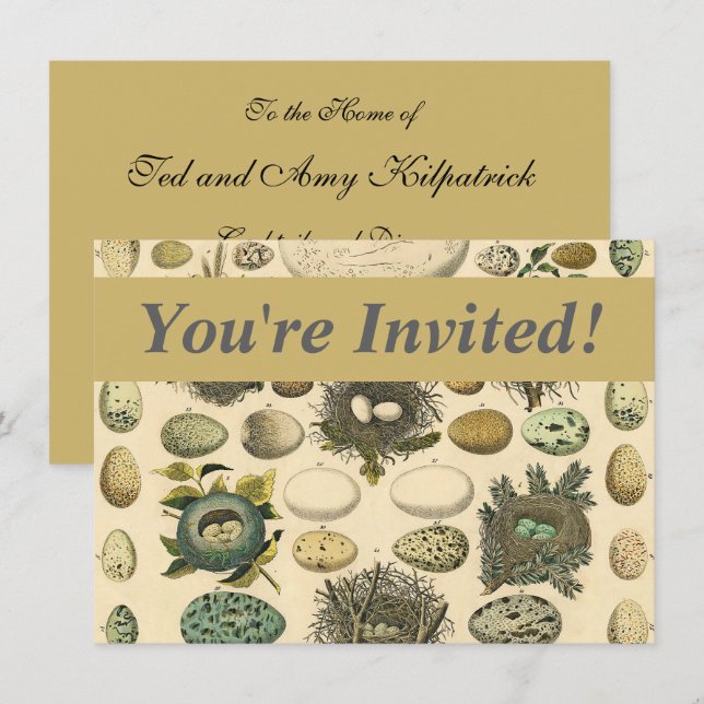 Vintage Bird Egg Nest Art Painting Eggs Invitation (Front/Back)