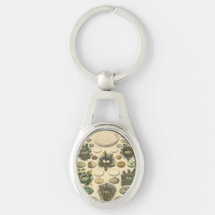 Vintage Bird Egg Nest Art Painting Eggs Key Ring