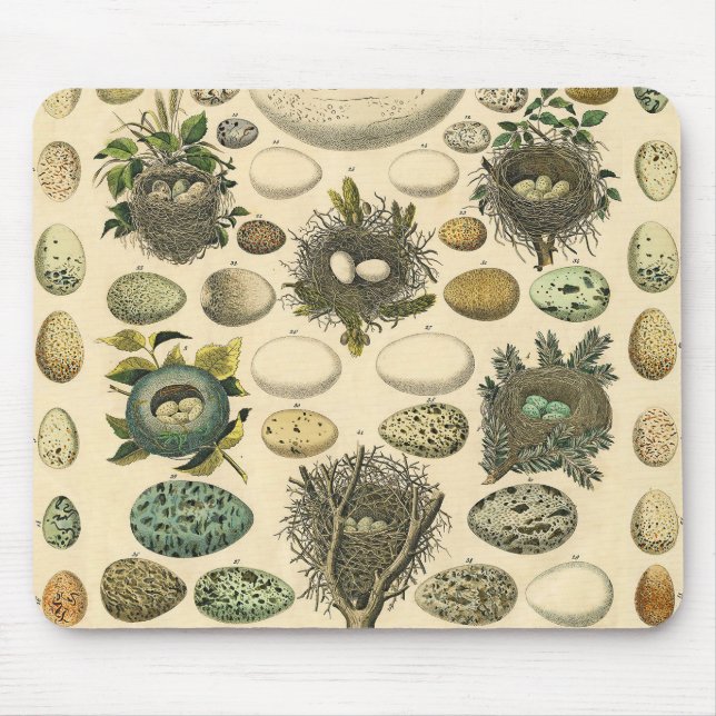 Vintage Bird Egg Nest Art Painting Eggs Mouse Mat (Front)