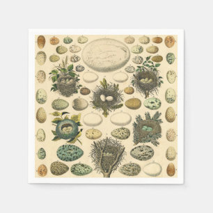 Vintage Bird Egg Nest Art Painting Eggs Napkin