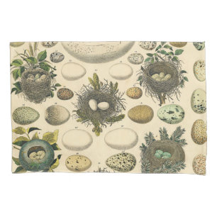 Vintage Bird Egg Nest Art Painting Eggs Pillowcase