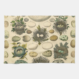 Vintage Bird Egg Nest Art Painting Eggs Tea Towel