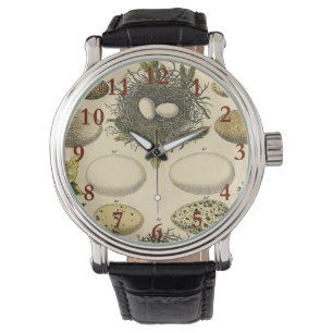 Vintage Bird Egg Nest Art Painting Eggs Watch