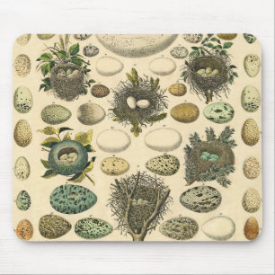 Vintage Bird Egg Nest Art Painting Mouse Mat