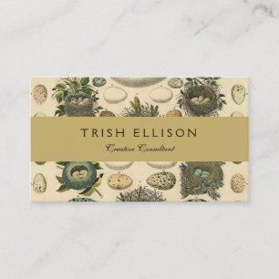 Vintage Bird Egg Nest Art Painting Natural History Business Card