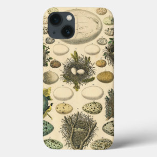 Vintage Bird Egg Nest Art Painting Natural History iPhone 13 Case
