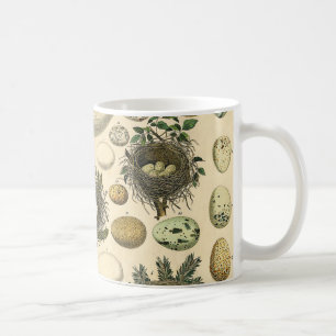 Vintage Bird Egg Nest Art Painting Natural History Coffee Mug