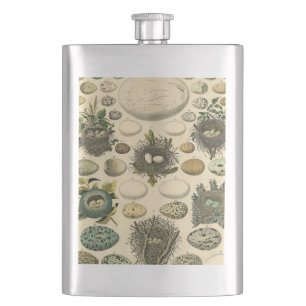 Vintage Bird Egg Nest Art Painting Natural History Hip Flask