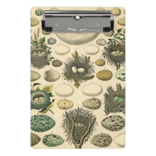 Vintage Bird Egg Nest Art Painting Natural History Mini Clipboard