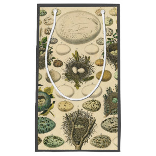 Vintage Bird Egg Nest Art Painting Natural History Small Gift Bag