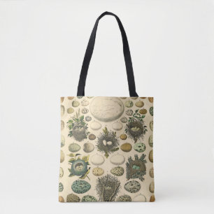 Vintage Bird Egg Nest Art Painting Natural History Tote Bag