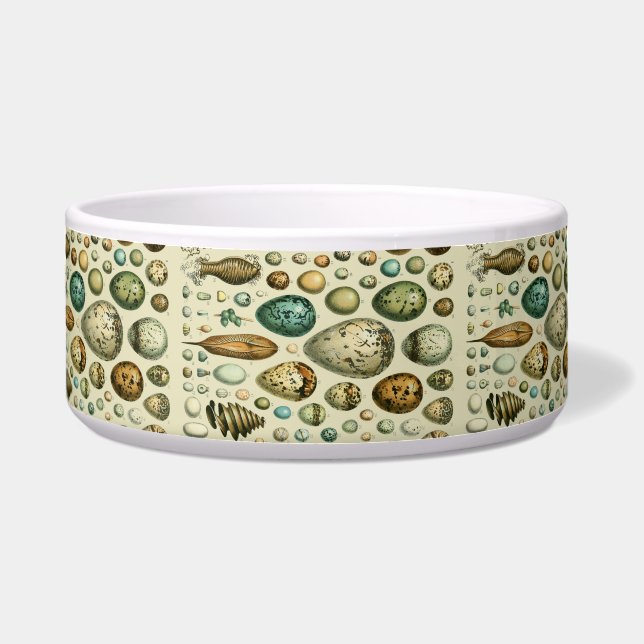 Vintage Bird Eggs French Fish Egg Art (Front)