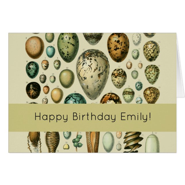 Vintage Bird Eggs French Fish Egg Art (Front Horizontal)