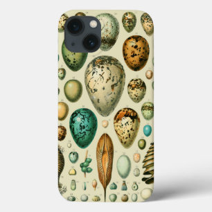 Vintage Bird Eggs French Fish Egg Art iPhone 13 Case