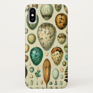 Vintage Bird Eggs French Fish Egg Art iPhone X Case