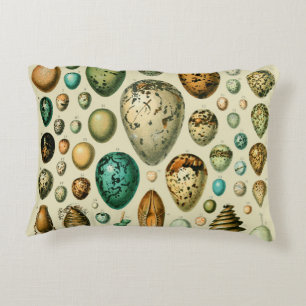 Vintage Bird Eggs French Fish Egg Art Decorative Cushion