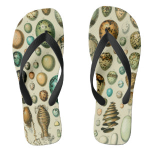 Vintage Bird Eggs French Fish Egg Art Flip Flops