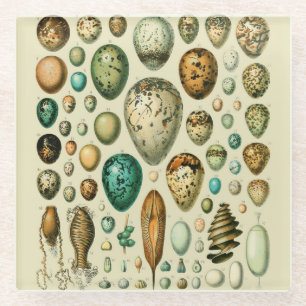 Vintage Bird Eggs French Fish Egg Art Glass Coaster