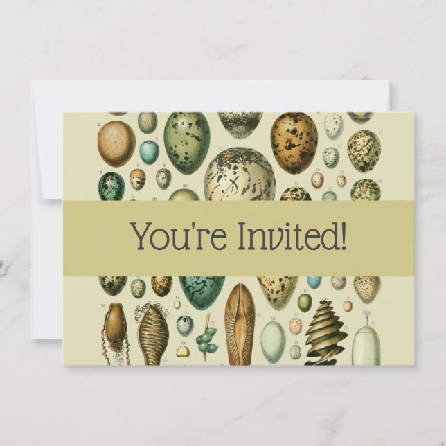 Vintage Bird Eggs French Fish Egg Art Invitation (Front)