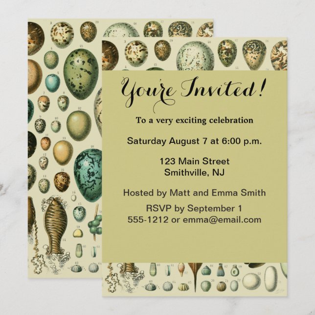 Vintage Bird Eggs French Fish Egg Art Invitation (Front/Back)