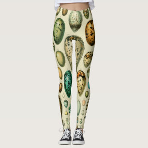 Vintage Bird Eggs French Fish Egg Art Leggings